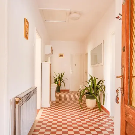 아파트 Apartman Platan