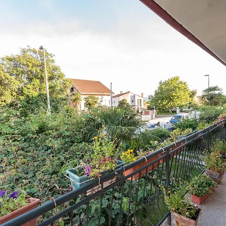Apartman Platan *